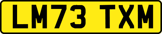 LM73TXM