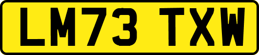 LM73TXW