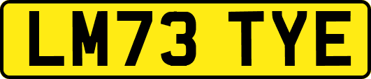 LM73TYE