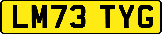 LM73TYG
