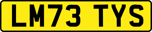 LM73TYS