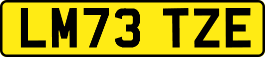 LM73TZE