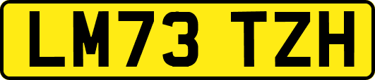 LM73TZH