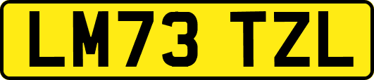 LM73TZL