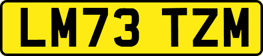 LM73TZM
