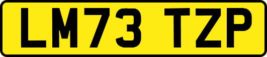 LM73TZP