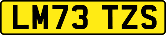 LM73TZS