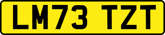LM73TZT