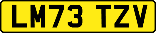 LM73TZV
