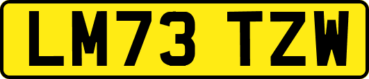 LM73TZW