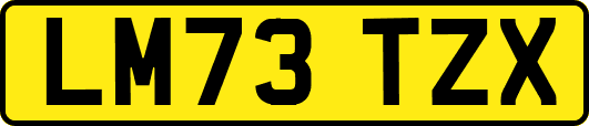 LM73TZX