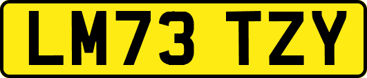 LM73TZY