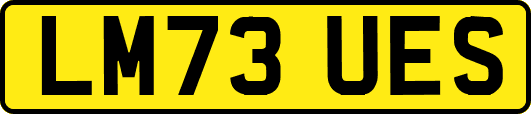 LM73UES