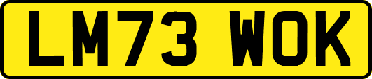 LM73WOK