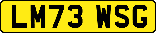 LM73WSG