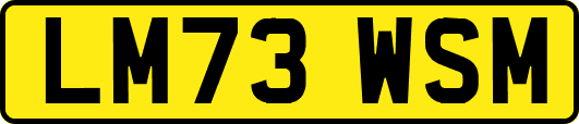 LM73WSM