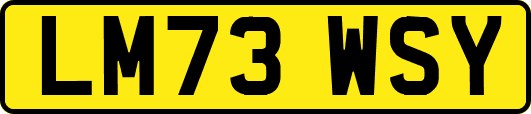 LM73WSY