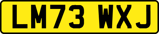 LM73WXJ
