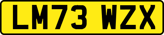 LM73WZX