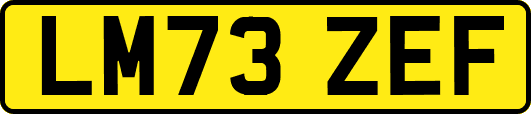 LM73ZEF