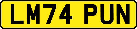 LM74PUN
