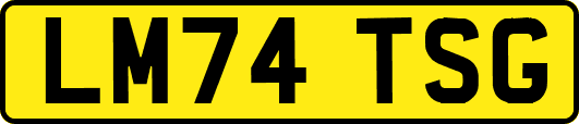 LM74TSG