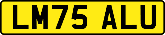 LM75ALU