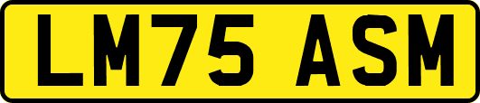 LM75ASM