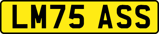 LM75ASS