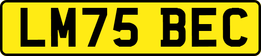 LM75BEC