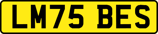 LM75BES