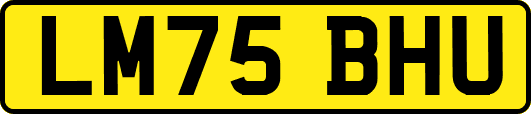 LM75BHU