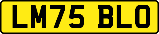 LM75BLO
