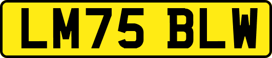 LM75BLW