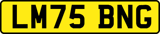 LM75BNG