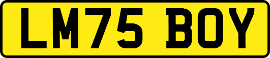 LM75BOY