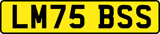 LM75BSS