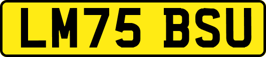 LM75BSU