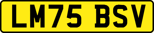 LM75BSV