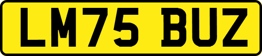 LM75BUZ