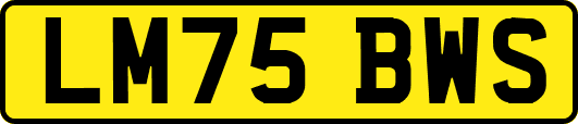LM75BWS