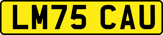 LM75CAU