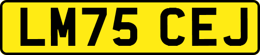LM75CEJ