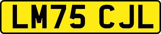 LM75CJL