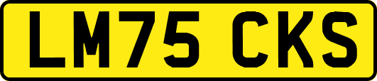 LM75CKS