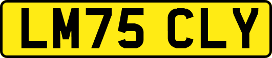 LM75CLY