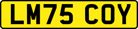 LM75COY