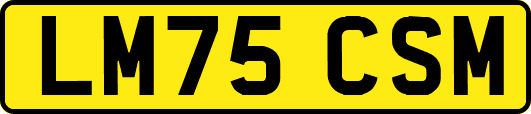 LM75CSM