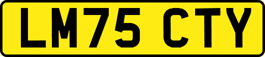 LM75CTY