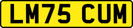 LM75CUM